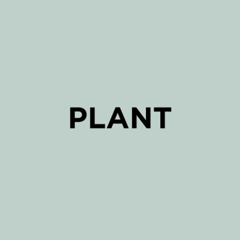 Plant Thumbnail