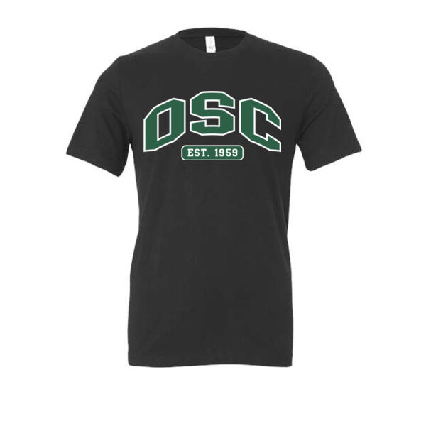 BELLA + CANVAS - Triblend Tee - Printed Logo Thumbnail